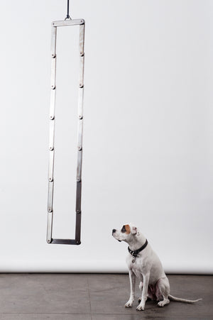 Sir Tangle II, 2011