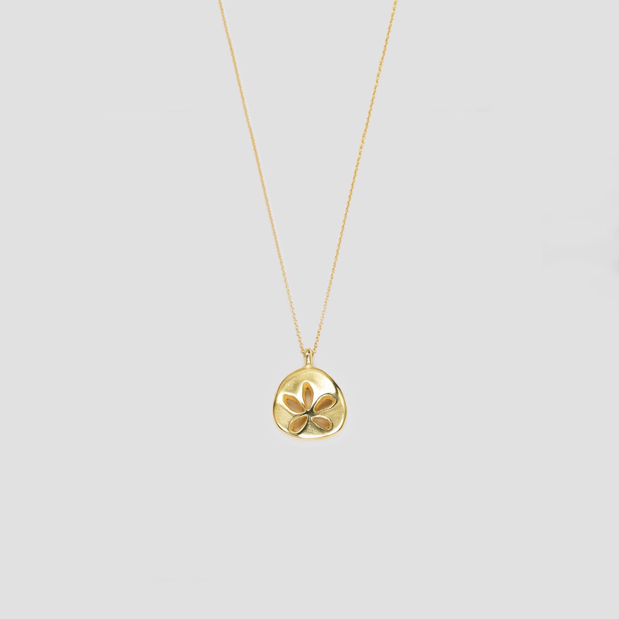 Alex and shops ani sand dollar necklace