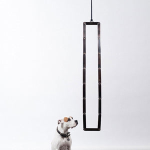 Sir Tangle I, 2011