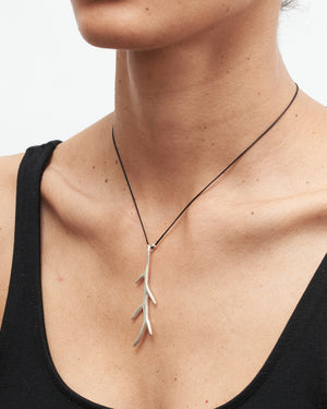 Staghorn