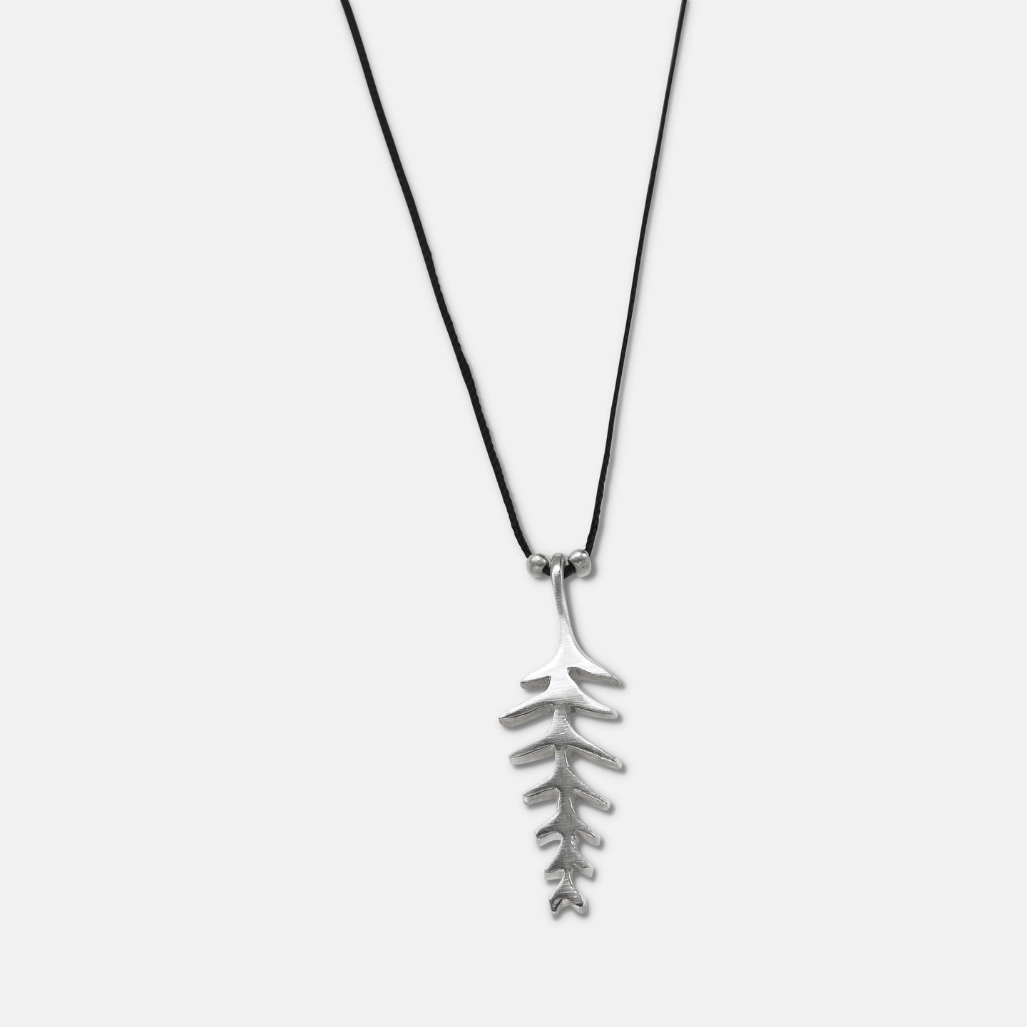 Fern