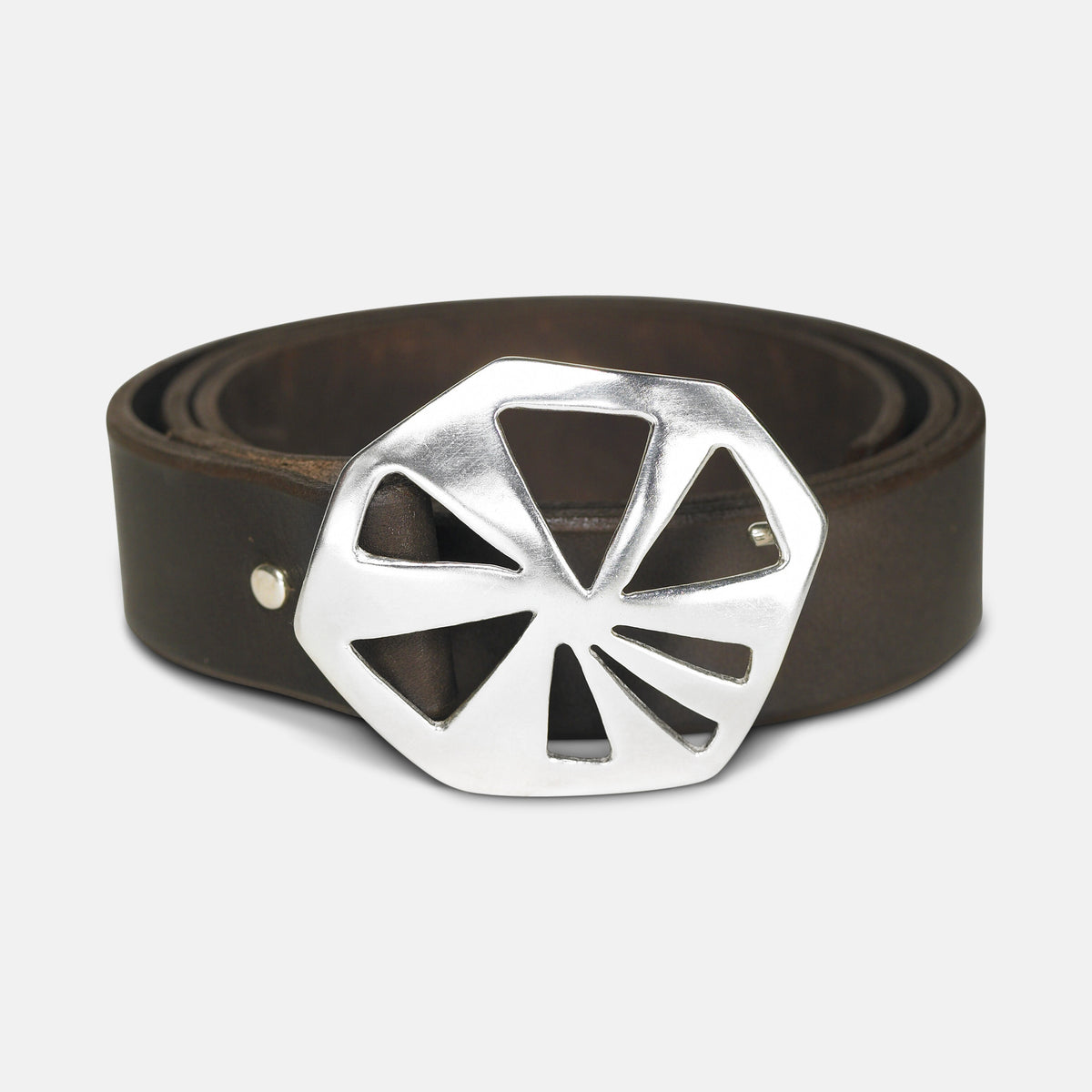 ice_brown_belt_c12bc9c4-34c1-  display picture 3