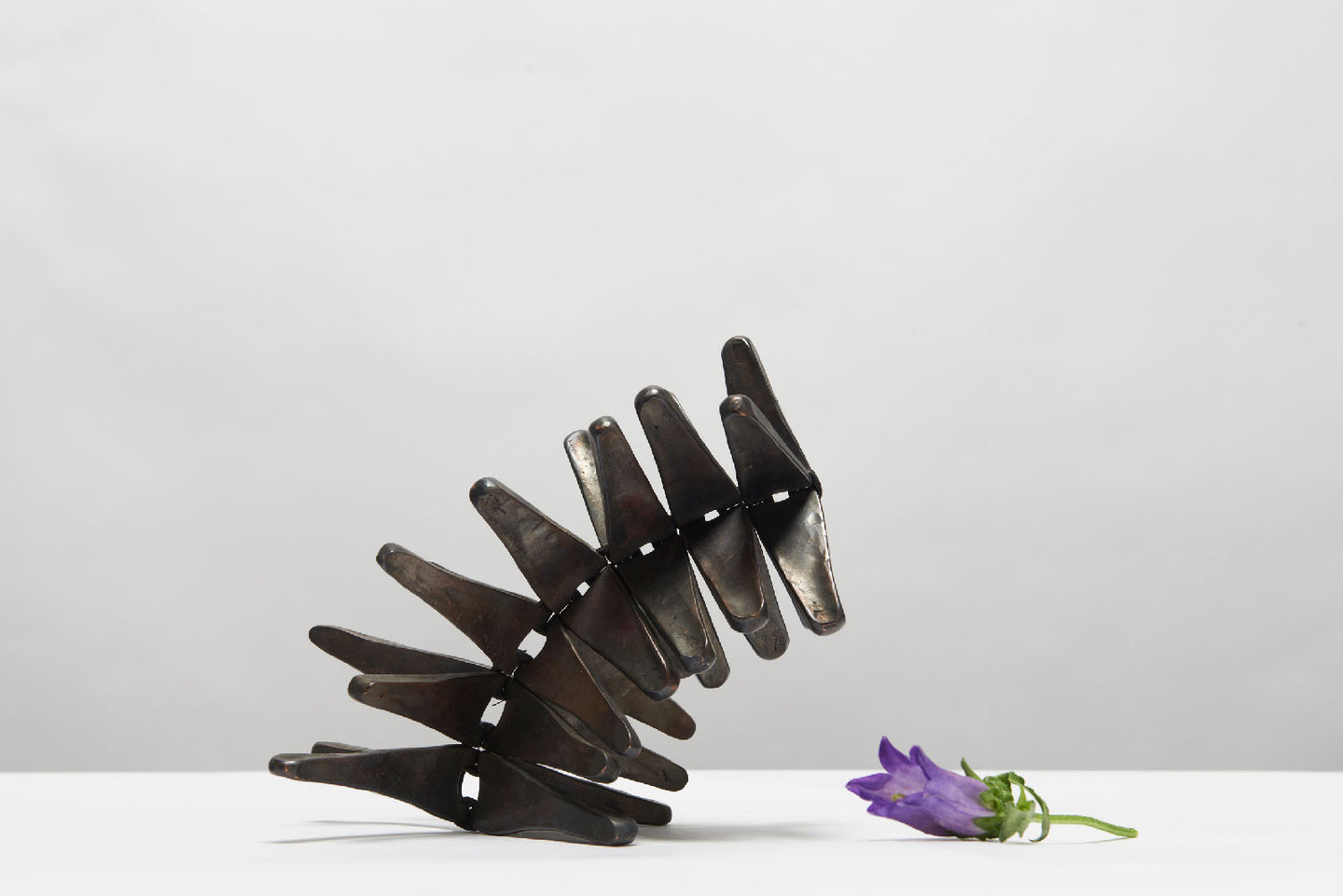 Spine